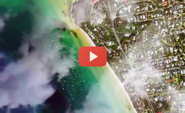 The Reel Moth Worlds 2015 by SA