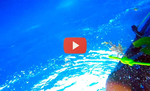 Wipeout, second episode. From inside
