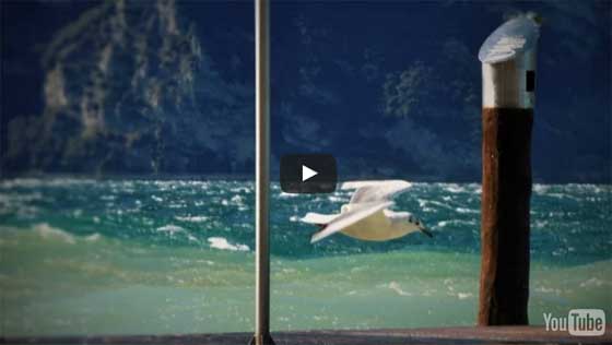 Foiling Week expands in 2016